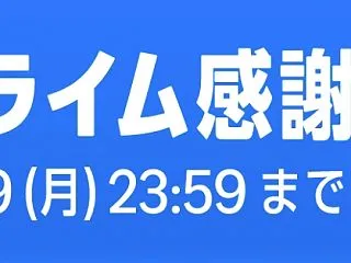 Amazonプライム感謝祭！実際に買った…
