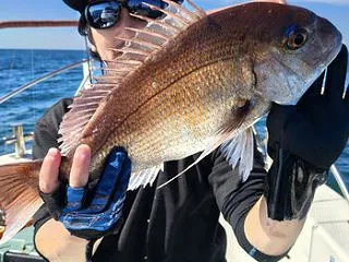 10月18日釣果報告