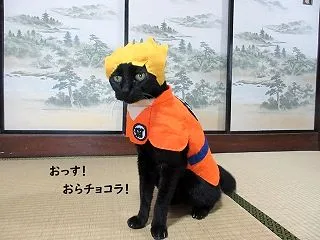 ドラゴンボールのアニメが始まってるのね～