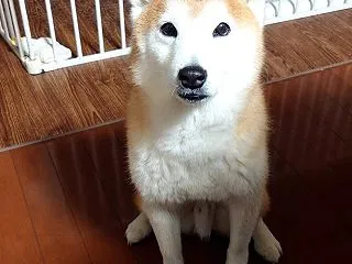 今日も過ごしやすく