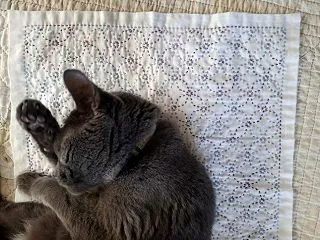 刺し子ふきん完成です♪