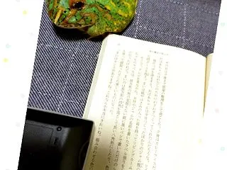 かわいすぎるぞっ！！