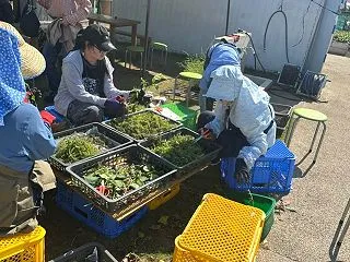 世田谷から発信します！桜丘農業公園〜農あ…