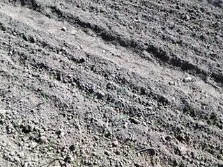 農作業日和
