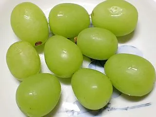 ぶどう 70日目