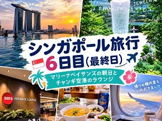 家族4人でシンガポールへ！5泊6日の旅行…