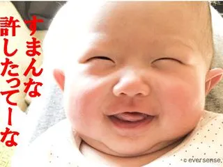 【株式投資／配当金生活】受取配当金、78…
