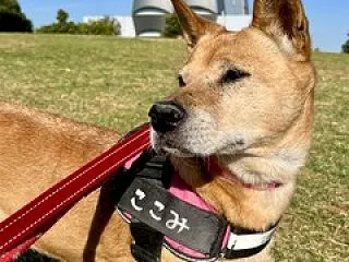 やった―の土曜日(*´▽｀*)