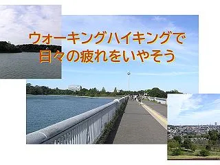 ウォーキングハイキングで日々の疲れをいや…