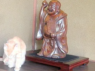 時々そら時々いなか （nya.3562）