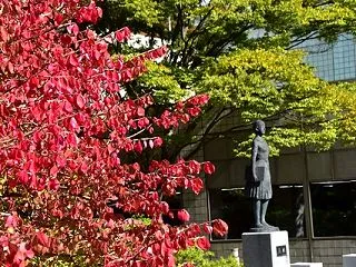 秋田市内の紅葉・長町一丁目駅から河原町駅…