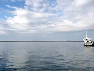 みつはま蚤の市有難うございました。