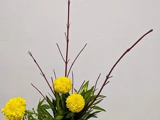 植物の線を綺麗に飾るいけばな～草月流いけ…