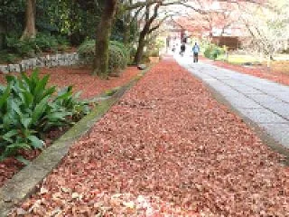 参道