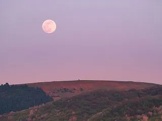 お月見の意味と楽しみ方｜秋の夜長に月を愛…