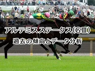 アルテミスステークス予想｜過去の傾向とデ…