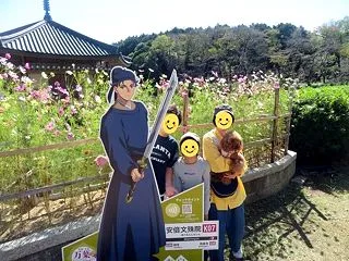 愛犬と行く奈良県桜井市安倍文殊院のコスモ…