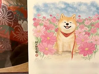 嬉しかった絵はがき