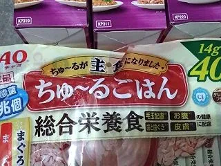 ご支援いただきました。