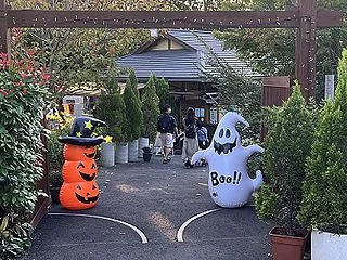 福岡・「福智山ろく花公園」