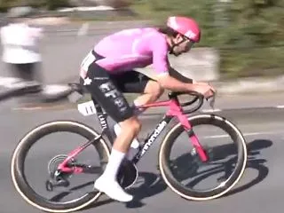 ジャパンカップ 髭対決