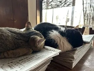 おじちゃんと一緒 その２
