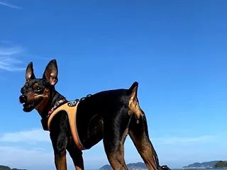 10月も半分過ぎたぞよ