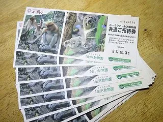 太っていたモーちゃんはもういませんｗ