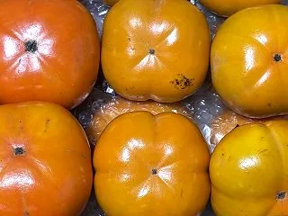 今日は義弟から柿が届いた