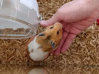 ねぇねぇ♪