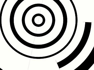 何が真実なのか