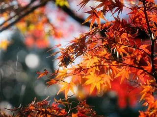 前編【中学になれば勉強する】は幻想！伸び…