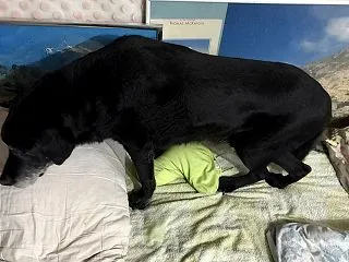 キャンピングカーで楽しむ