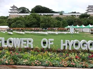 兵庫のフラワー・イベント｜（明石公園)