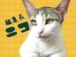【スリランカ】世界遺産・ゴール旧市街にあ…