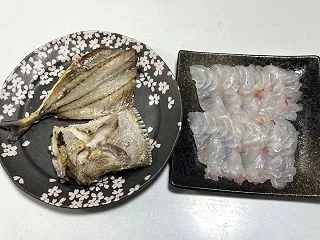 6.4kgのチャイロマルハタを昆布締めに…