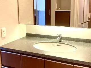 洗面台扉の張り替え