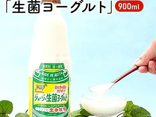 【ふるさと納税】乳製品 砂糖不使用 90…