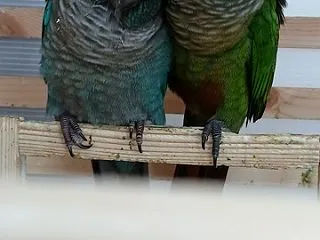 10月ももう終わり…