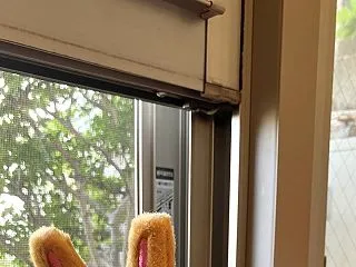 うまうま