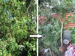 庭や畑の作業の時期