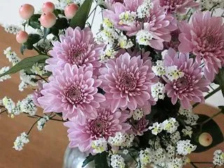 ひめの命日 / 最近の物欲について &a…