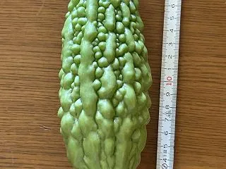 秋華賞敗戦
