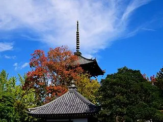 27.6℃昼間は快晴でよい天気夕方から曇…