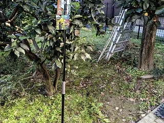 八珍柿・・・。