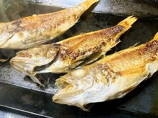 のどぐろの丸干し