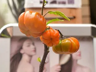 改めて美容室Biのブログご覧頂きありがと…