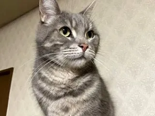 水泳、明日は休み