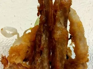 今日は唐揚げ 揚げ餃子 ポテトフライ