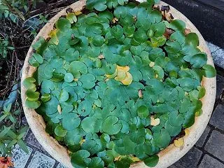 今日も働きましたよ